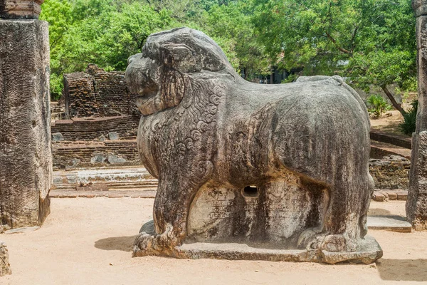 Estátua Leão Cidade Antiga Polonnaruwa Sri Lanka — Fotografia de Stock