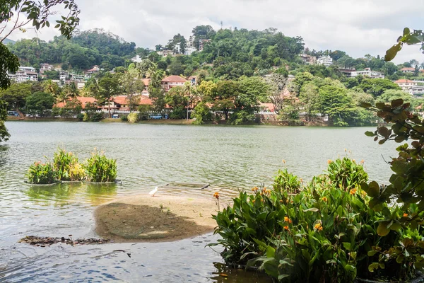 Bogambara See Kandy Sri Lanka — Stockfoto