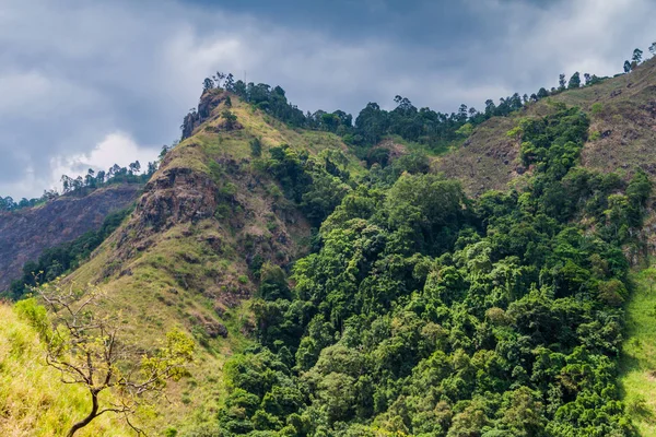 Berge Der Nähe Von Ella Sri Lanka — Stockfoto