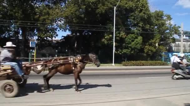 Tráfico en una carretera en Camagüey — Vídeos de Stock