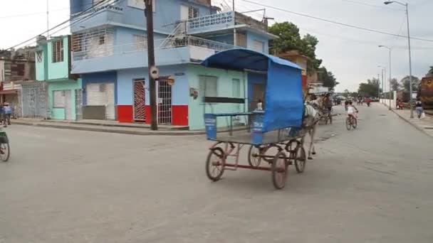 Bayamo Kuba Stycznia 2016 Powozy Konne Bardzo Często Środka Transportu — Wideo stockowe