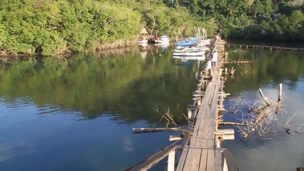 Hängande bro över Rio Miel floden — Stockvideo