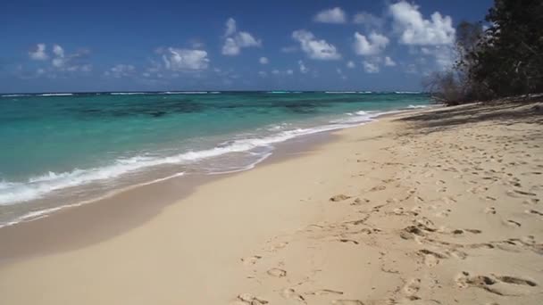 Playa Maguana海滩 — 图库视频影像