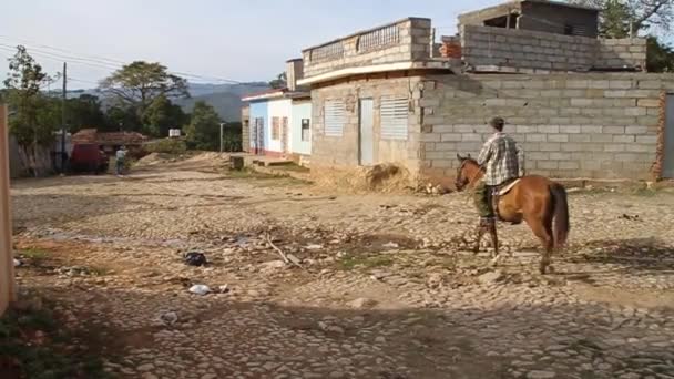 石畳の通りに馬のライダー — ストック動画