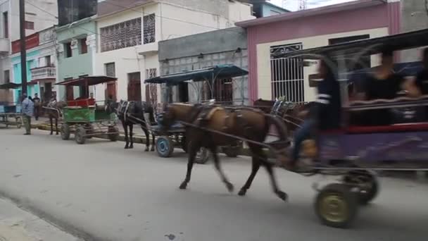 Carruajes de caballos en una calle — Vídeo de stock