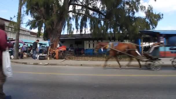 Carruaje de caballos en una calle — Vídeos de Stock