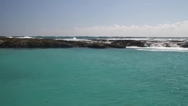 Costa do mar de Salário de Porcos — Vídeo de Stock