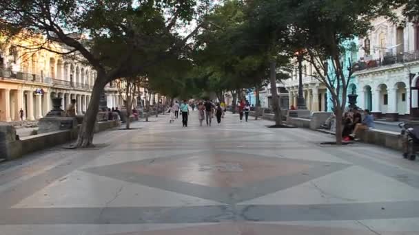 Vista de uma zona pedonal de Paseo de Marti — Vídeo de Stock