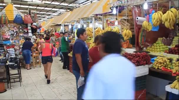 Interior of Mercado Municipal Lucas de Galvez — Stock Video