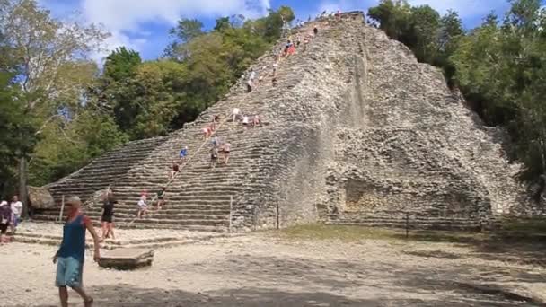 Turista scalare la Piramide Nohoch Mul — Video Stock