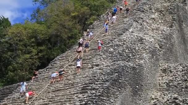 Turista subir la pirámide Nohoch Mul — Vídeos de Stock