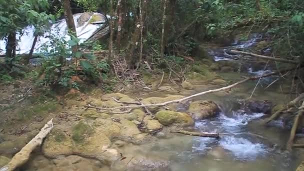 Rivier in de buurt van Laguna Brava — Stockvideo