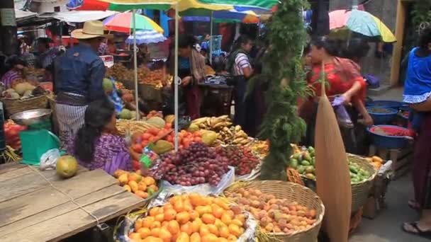 Blick auf Obst- und Gemüsemarkt — Stockvideo