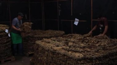 Kurutma odası tütün için işlerde