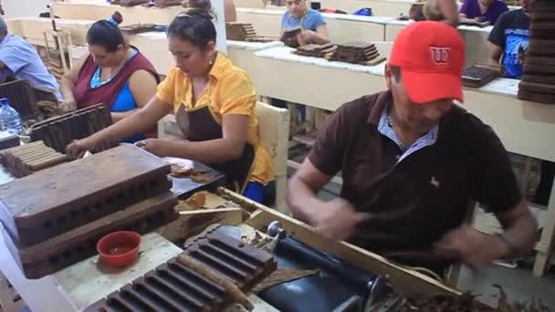 Рабочие катят сигары — стоковое видео