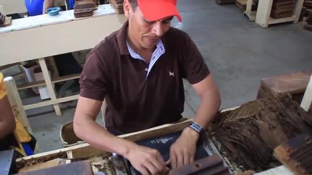 Trabajadores rodando cigarros — Vídeos de Stock