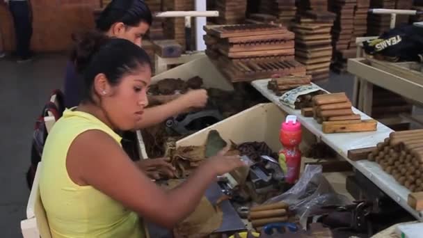 Trabajadores rodando cigarros — Vídeos de Stock