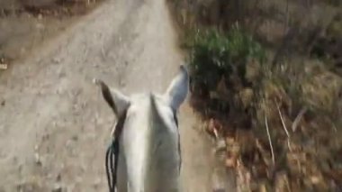 Onun arkasından haliyle atları kafa