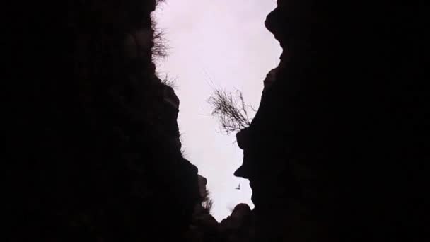 溶岩トンネルのコウモリ — ストック動画