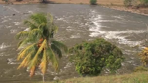 Rapids of San Juan river — Stok Video