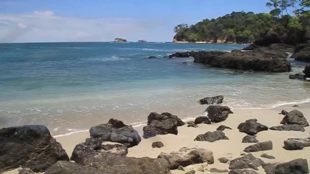 Strand in Nationaal Park Manuel Antonio, — Stockvideo