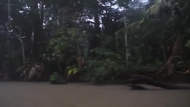 Suerte Nehri Yağmur Sırasında Kosta Rika — Stok video