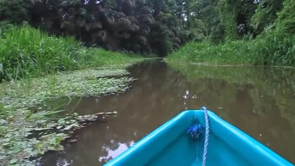 Barco em um rio — Vídeo de Stock