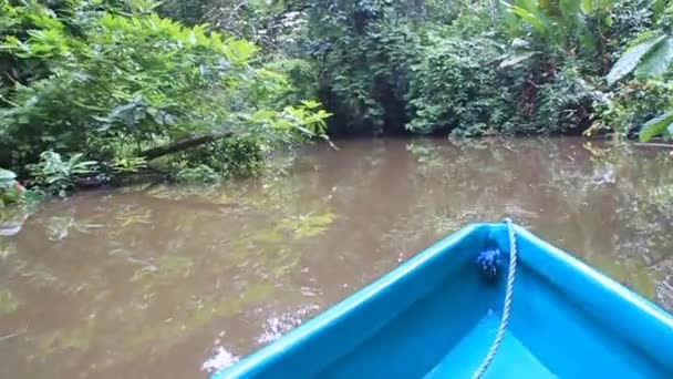 Barco em um rio — Vídeo de Stock