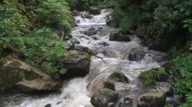 Rio Caldera Nehri