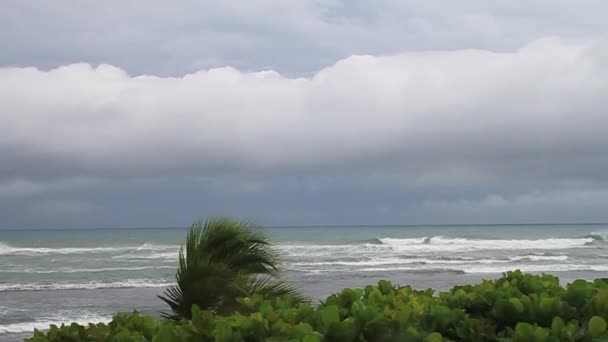 El tiempo tormentoso y el mar — Vídeo de stock