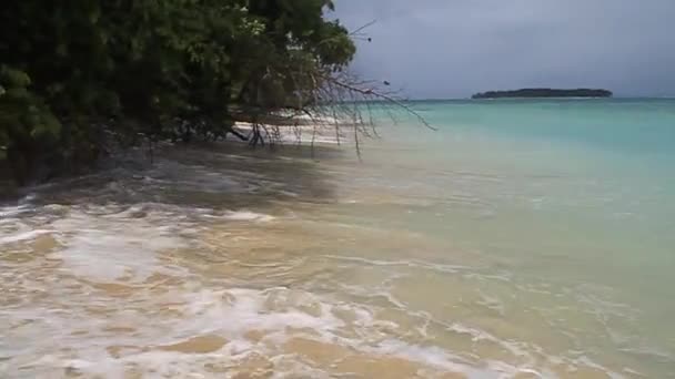 Costa dell'isola di Isla Zapatilla — Video Stock