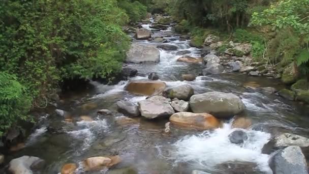 Caldera rivier in de buurt van Boquete — Stockvideo