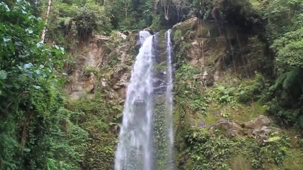 Een van de watervallen in een nevelwoud — Stockvideo