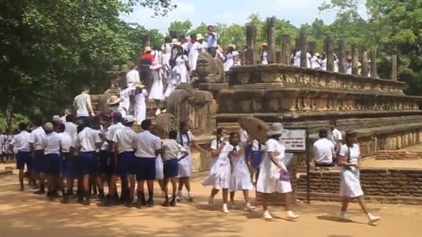 Sala de audiencias en la antigua ciudad Polonnaruwa — Vídeos de Stock