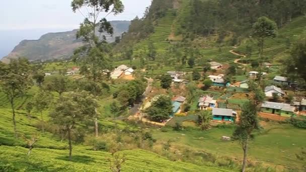 Plantaciones de té y un pequeño pueblo — Vídeos de Stock