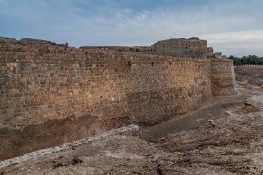 Duvarlar Bahreyn Bahreyn kale (Qal'at al-Bahreyn)