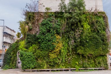 Muharraq, Bahreyn - 14 Şubat 2017: Yeşil kapı, dikey bahçe Muharraq, Bahreyn