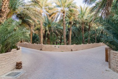 Avuç içi Al Ain oasis, Birleşik Arap Emirlikleri