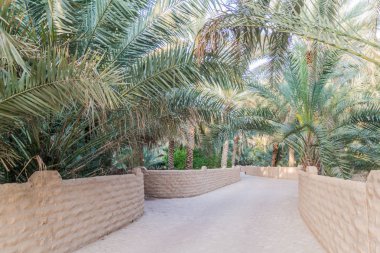 Avuç içi Al Ain oasis, Birleşik Arap Emirlikleri