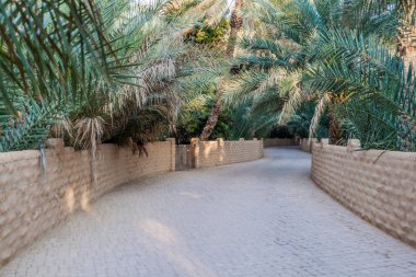 Avuç içi Al Ain oasis, Birleşik Arap Emirlikleri
