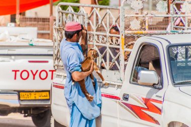Al Ain, Birleşik Arap Emirlikleri - 8 Mart 2017: Al Ain, Birleşik Arap Emirlikleri hayvan pazarında, keçi yükleme