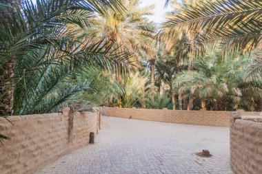 Avuç içi Al Ain oasis, Birleşik Arap Emirlikleri