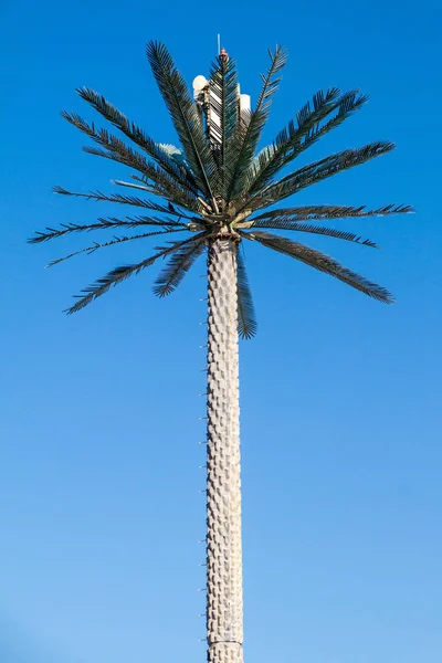 Torre Celular Disfarçada Palmeira Abu Dhabi Emirados Árabes Unidos — Fotografia de Stock