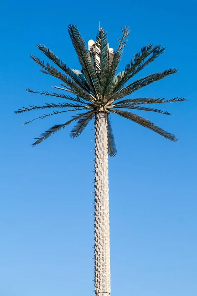 Cell Tower Disguised Palm Abu Dhabi United Arab Emirates — Stock Photo, Image