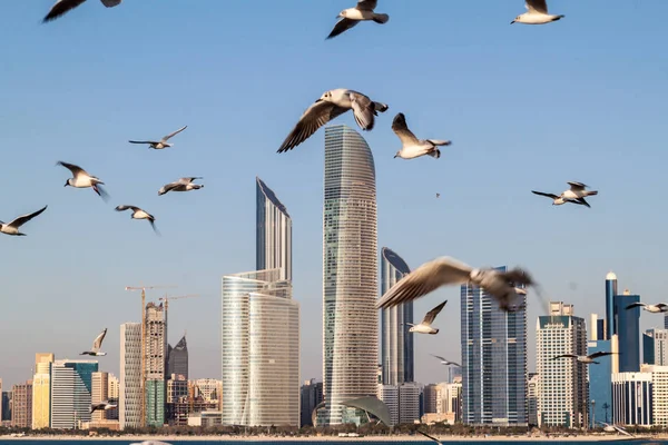 Skyline Von Abu Dhabi Mit Möwen Vereinigte Arabische Emirate — Stockfoto