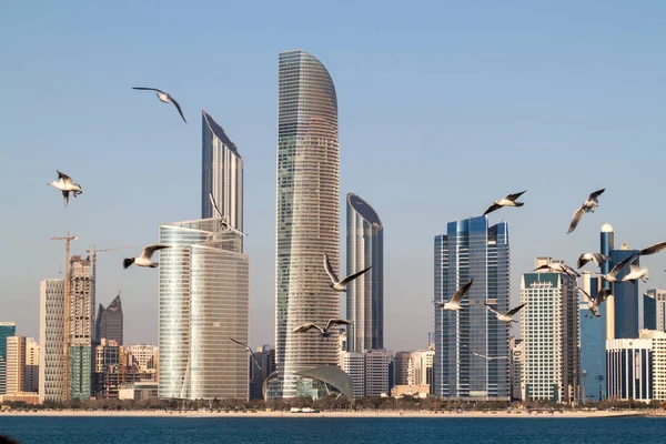 Skyline Von Abu Dhabi Mit Möwen Vereinigte Arabische Emirate — Stockfoto
