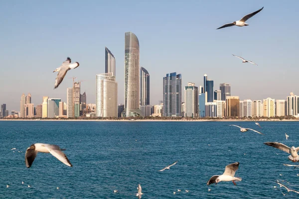 Skyline Abu Dhabi Con Gaviotas Marinas Emiratos Árabes Unidos — Foto de Stock
