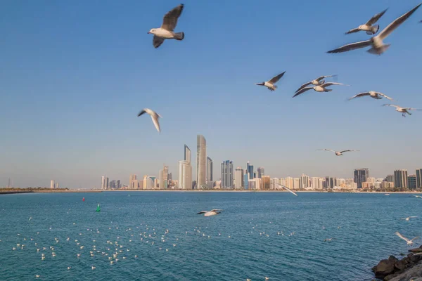 Skyline Abu Dhabi Com Gaivotas Mar Emirados Árabes Unidos — Fotografia de Stock