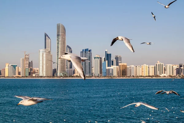 Skyline Van Abu Dhabi Met Sea Meeuwen Verenigde Arabische Emiraten — Stockfoto