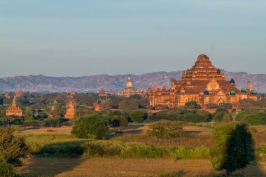Tapınaklar Bagan, Myanmar manzarası. Dhammayangyi Tapınağı.